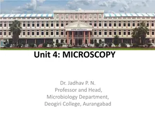 Fundamentals of Microscopy in Microbiology: An Insightful Journey