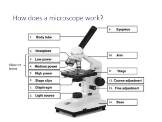 Exploring the World of Microscopes and Cells