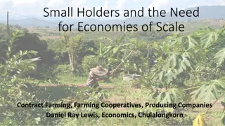 Enhancing Smallholder Farming Through Economies of Scale and Cooperative Models