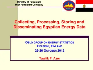 Comprehensive Overview of Egyptian Energy Data Collection and Processing