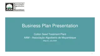 Enhancing Cotton Seed Quality for Sustainable Growth in Mozambique