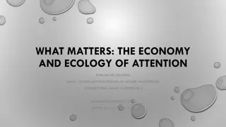 The Economy and Ecology of Attention in the Digital Age