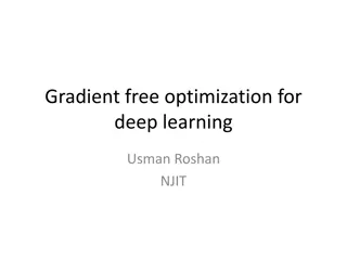 Optimizing Deep Learning: Methods and Insights