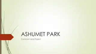 Ashumet Park Common Land Project Overview