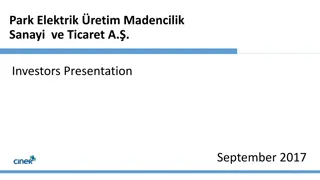 Overview of Park Elektrik and Ciner Group Investments