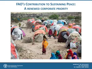 A Renewed Corporate Priority: FAO's Contribution to Sustaining Peace