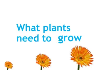 Understanding the Essential Needs of Plants for Growth