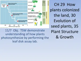 Plant Evolution and Characteristics