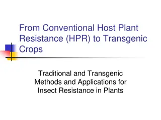 Evolution of Plant Resistance to Insects: From Traditional Methods to Transgenic Crops