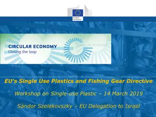 EU Initiatives Towards Sustainable Plastic Use and Recycling