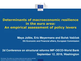 Assessing Macroeconomic Resilience in the Euro Area