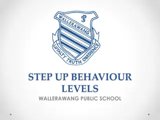 Wallerawang Public School Behavior Levels System