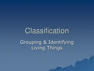 The Classification of Living Things