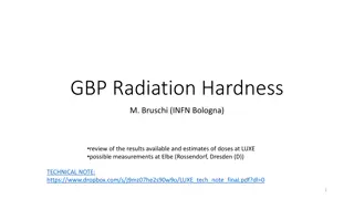 Advancements in Sapphire Detectors for Radiation Hardness Testing and High-Energy Physics Experiments