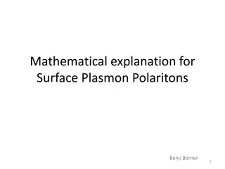 Mathematical Insights into Surface Plasmon Polaritons