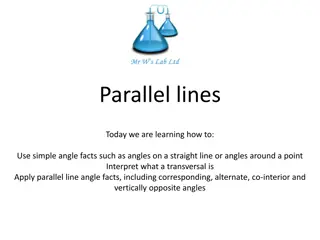 Parallel Lines and Angle Relationships