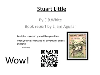 Stuart Little: A Tale of Adventure in New York City