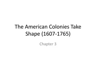 Immigration and Slavery in the American Colonies (1607-1765)