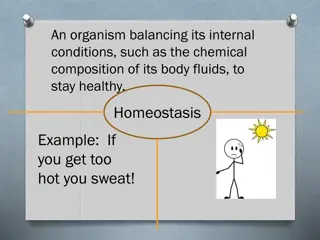 Understanding Biological Responses: Homeostasis, Stimuli, and Feedback Mechanisms