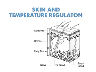 Thermoregulation in Animals and Humans