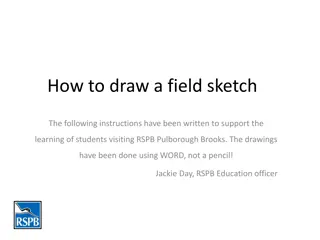 Step-by-Step Guide: Drawing a Field Sketch at RSPB Pulborough Brooks