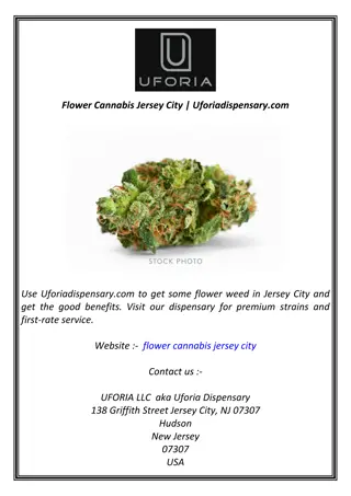 Flower Cannabis Jersey City | Uforiadispensary.com