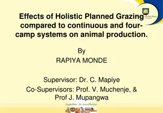 Effects of Holistic Planned Grazing on Animal Production Compared to Other Grazing Systems