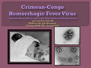 Overview of Crimean-Congo Hemorrhagic Fever Virus