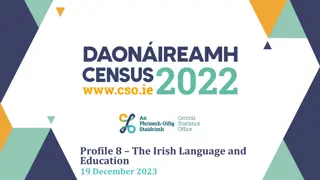 Insights into the Irish Language and Education Landscape