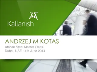 Insights into African Steel Industry by Andrzej M. Kotas