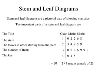 Exploring Stem and Leaf Diagrams for Statistical Analysis