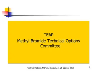 Trends in Methyl Bromide Consumption and Recommendations from Montreal Protocol Meeting