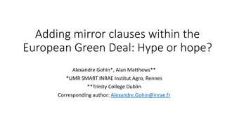 Adding Mirror Clauses in European Green Deal: A Critical Assessment