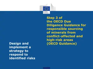 Responding to Risks in OECD Due Diligence Guidance