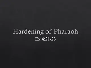 The Hardening of Pharaoh in Exodus: A Biblical Study