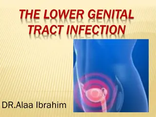 Lower Genital Tract Infections: Causes, Symptoms, and Treatment