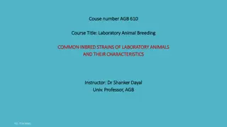 Laboratory Animal Breeding: Common Inbred Strains and Characteristics