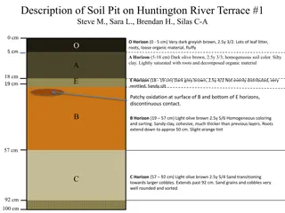 Detailed Descriptions of Soil Pits on Huntington River Terrace