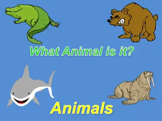 Guess the Animals - Fun and Educational Photo Quiz