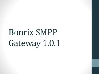 Bonrix SMPP Gateway 1.0.1 Overview