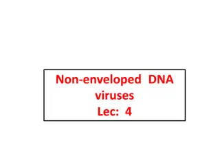 Overview of Non-Enveloped DNA Viruses and Their Impact on Human Health