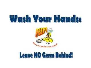 Importance of Hand Washing in Poultry and Egg Safety