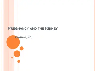 Pregnancy and the Kidney: Physiological Changes and Considerations for Chronic Kidney Disease