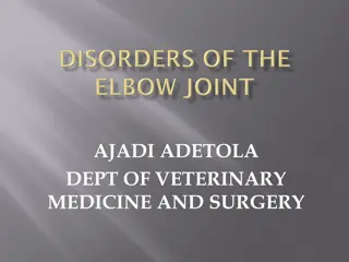 Elbow Joint Disorders in Veterinary Medicine