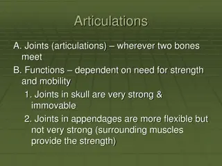 Understanding Articulations: Types and Functions