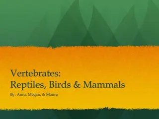 Exploring Vertebrates: Reptiles, Birds, and Mammals