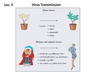 Virus Transmission via Vectors