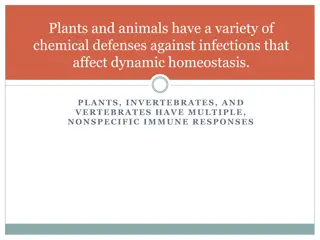 Immune Responses in Plants and Animals: A Comprehensive Overview