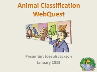 Animal Classification WebQuest: Dive into the World of Vertebrates!