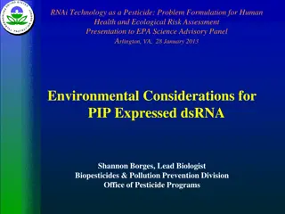 Environmental Risks of RNAi Technology as a Pesticide